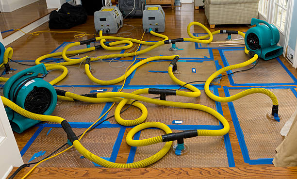 Professional Storm Water Damage Restoration technician working in Henderson, CO